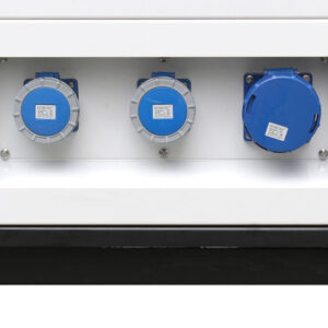 250 kVA 3 Phase PERKINS Powered Silent Diesel Generator